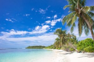 Beach landscape