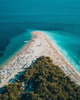 beach forest sea landscape